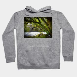 Borrowdale water Mill Hoodie